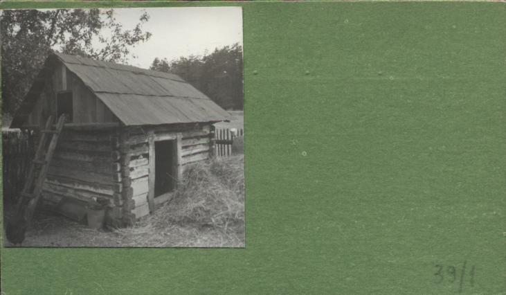 kurnik, skan 2