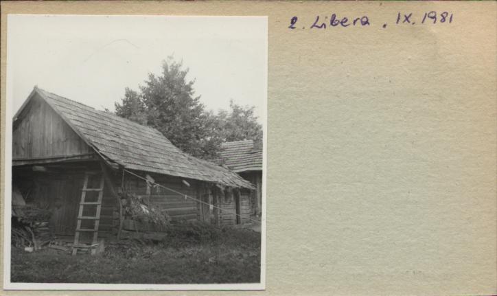 stajnia, skan 2