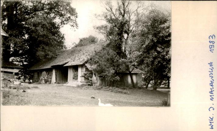 stodoła, skan 2