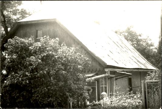 dom, skan 3