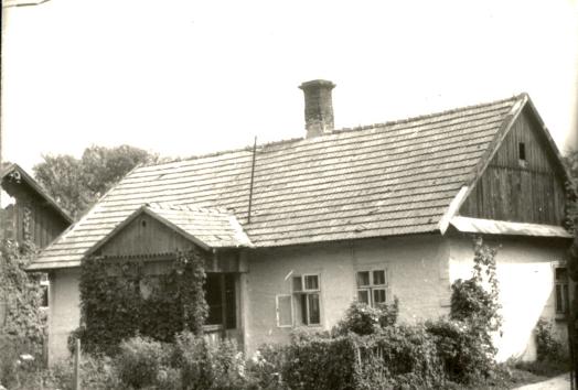 dom, skan 2