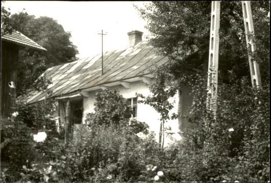 dom, skan 2