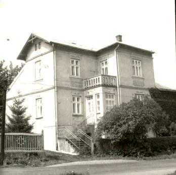 willa, skan 2