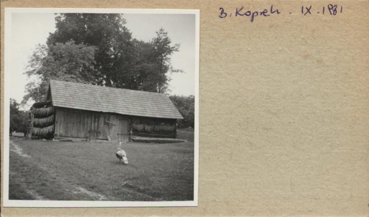 stodoła, skan 2