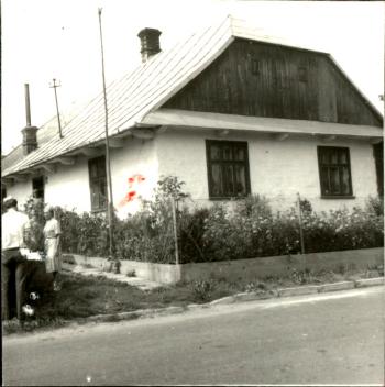 dom, skan 3