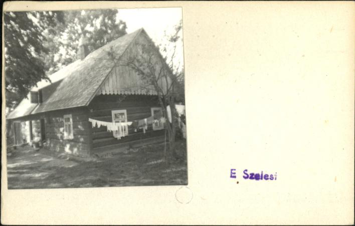 dom, skan 2