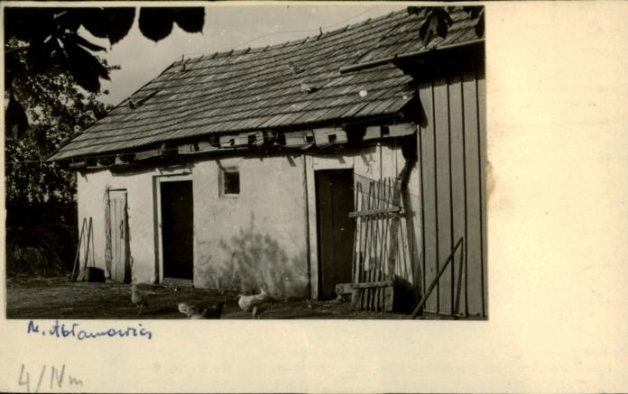 stajnia, skan 2