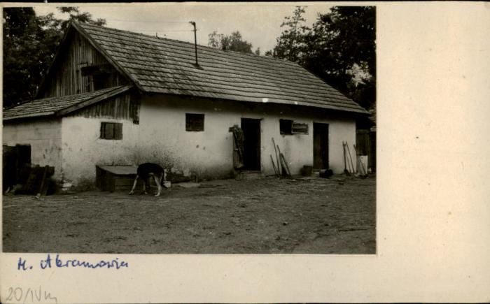 stajnia, skan 2