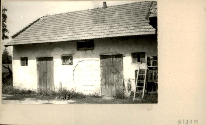 stajnia, skan 2