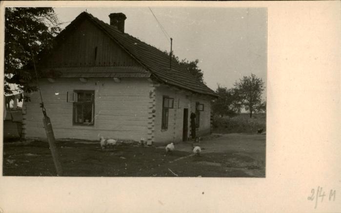 dom, skan 2