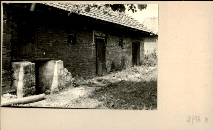 stajnia, skan 2