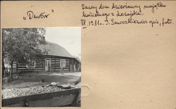 dom, skan 2