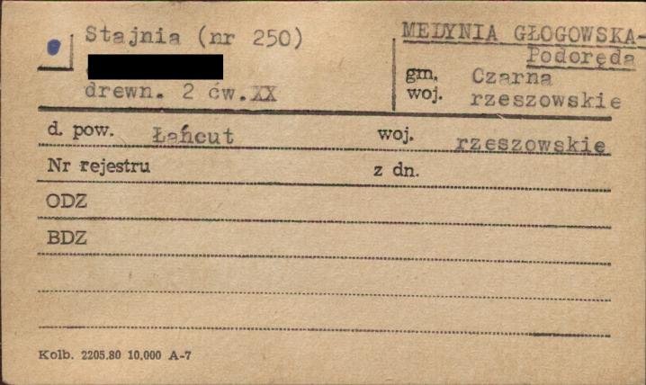 stajnia, skan 1