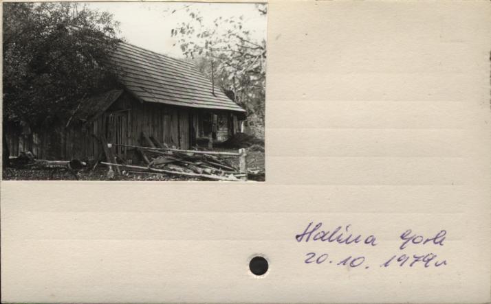 stajnia, skan 2