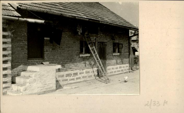 stajnia, skan 2