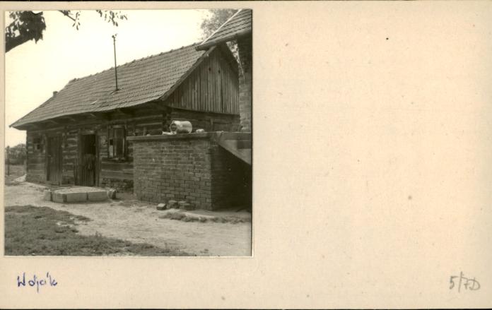 stajnia, skan 2