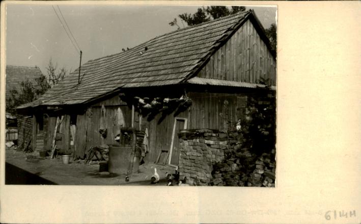 dom, skan 2
