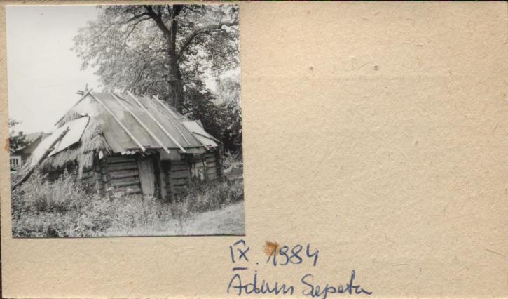 stajnia, skan 2