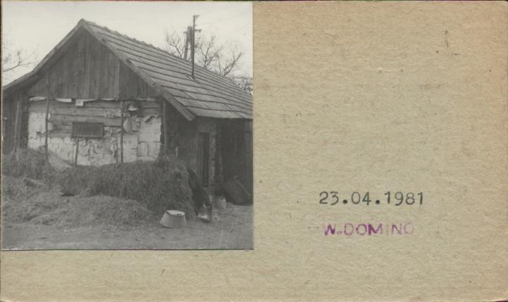 stajnia, skan 2