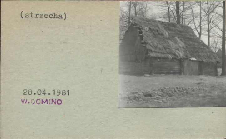 stodoła, skan 2