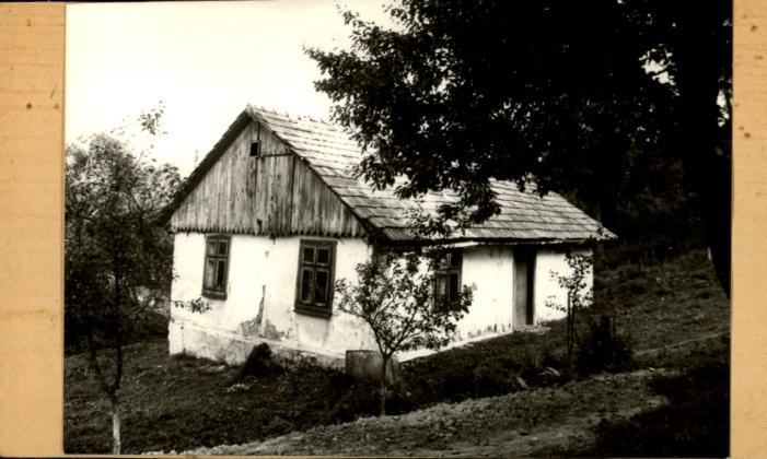 dom, skan 2