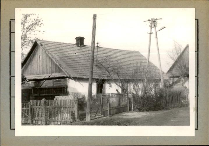 dom, skan 2