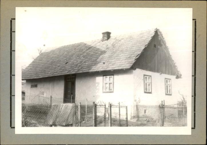 dom, skan 2