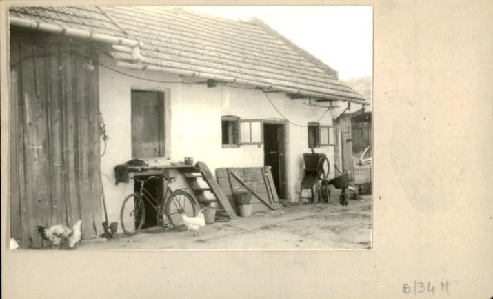 stajnia, skan 2