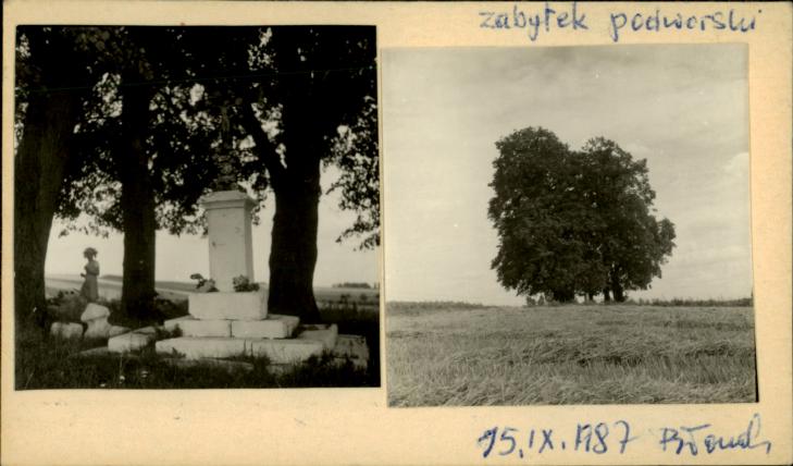 krzyż, skan 2