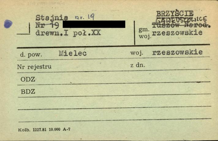 stajnia, skan 1