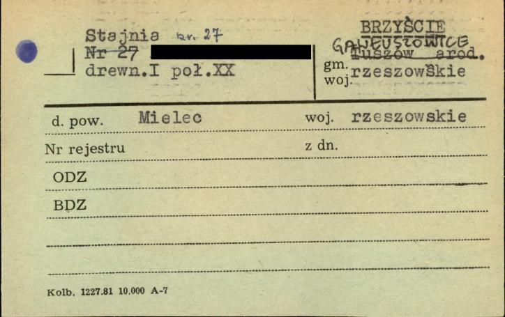 stajnia, skan 1