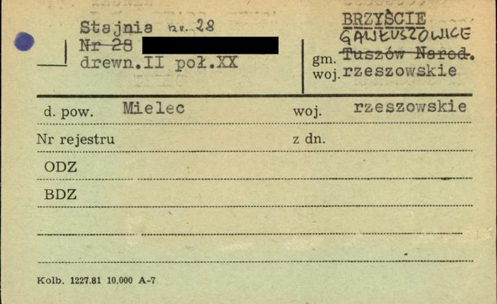 stajnia, skan 1