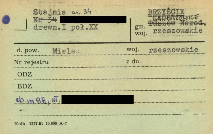 stajnia, skan 1