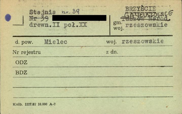stajnia, skan 1