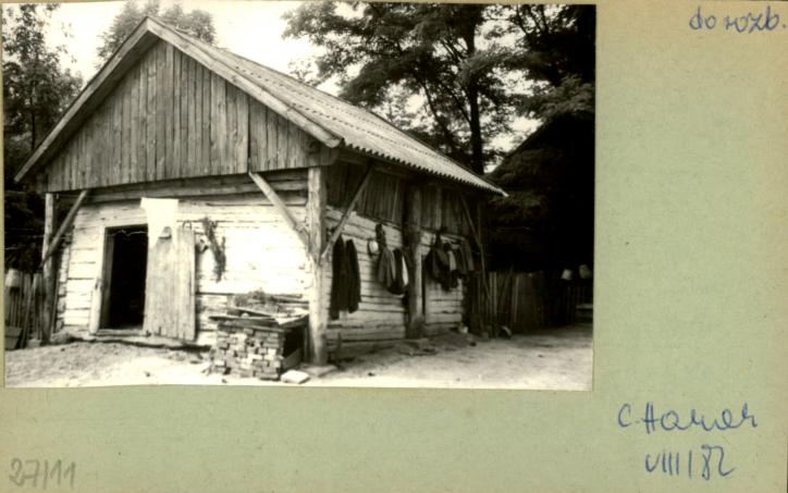 szopa, skan 2