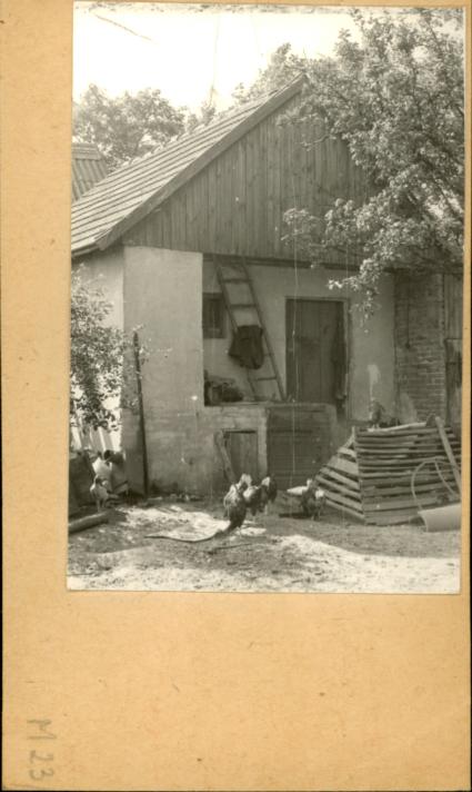 spichlerz, skan 2