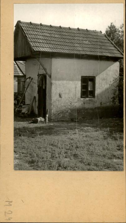 suszarnia, skan 2