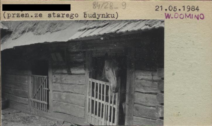 stajnia, obora, skan 2