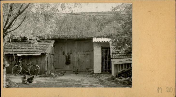 stodoła, skan 2