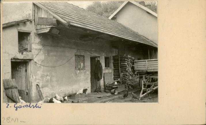 stajnia, skan 2