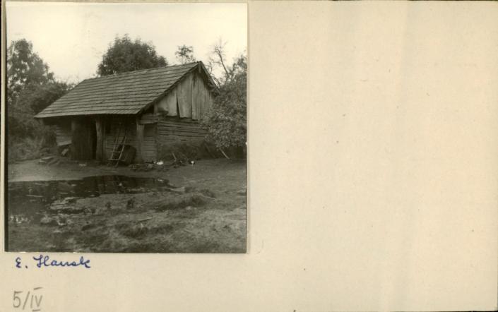 stajnia, skan 2