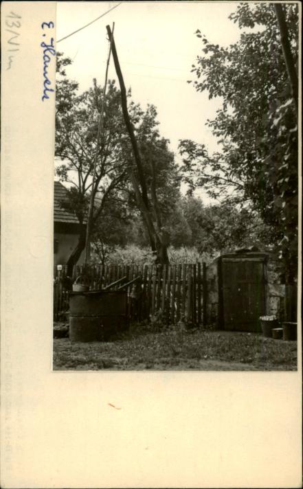 piwniczka, skan 2
