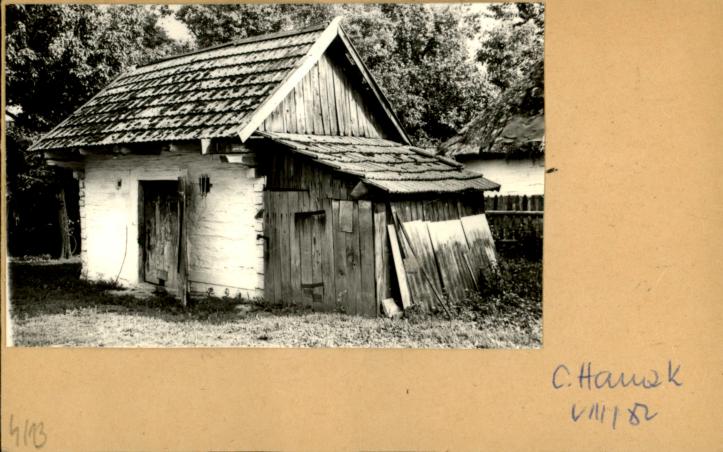 komórka, skan 2