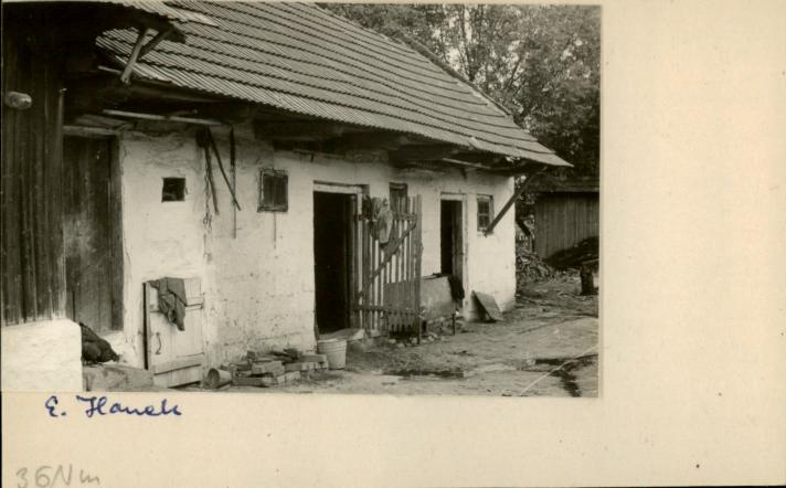 stajnia, skan 2