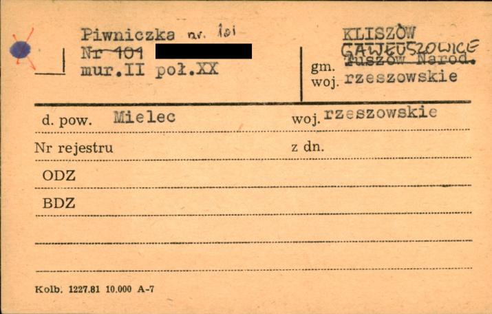 piwniczka, skan 1