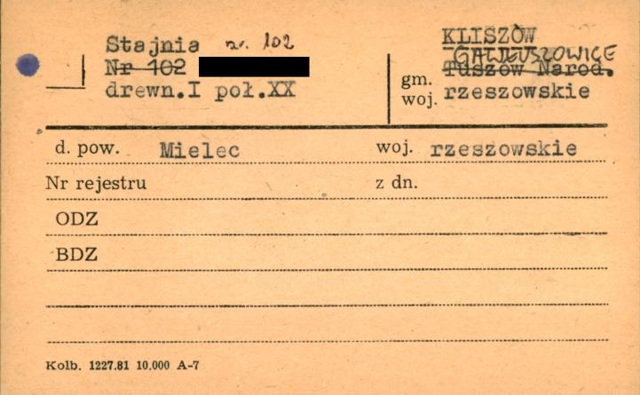 stajnia, skan 1