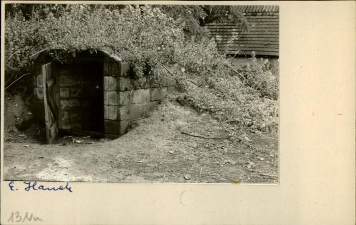 piwniczka, skan 2