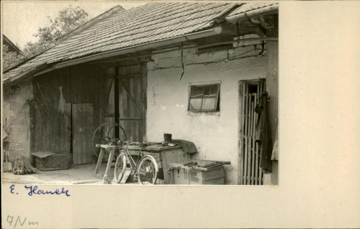 stajnia, skan 2