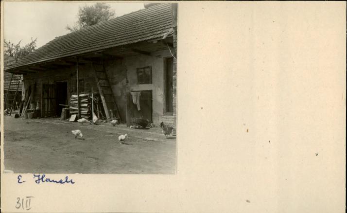 stajnia, skan 2