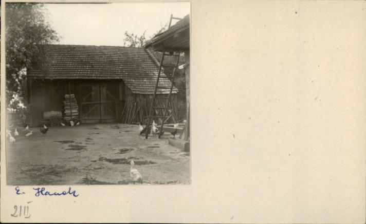 stodoła, skan 2